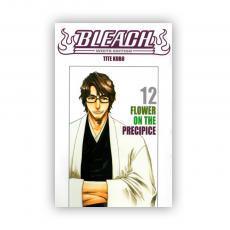 Bless — Bleach - White Edition Vol. 12
