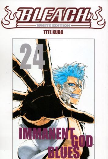 Bless — Bleach - White Edition Vol. 24
