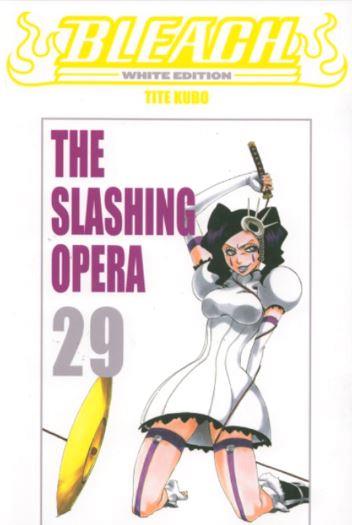 Bless — Bleach - White Edition Vol. 29