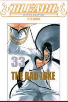 Bless — Bleach - White Edition Vol. 33