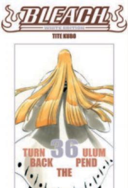 Bless — Bleach - White Edition Vol. 36